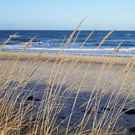 2 Am Stadtwald Modern Retreat Holiday home Kuehlungsborn